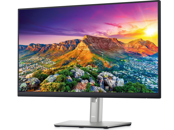 Monitor, 61 cm (24''), DELL Professional P2422H