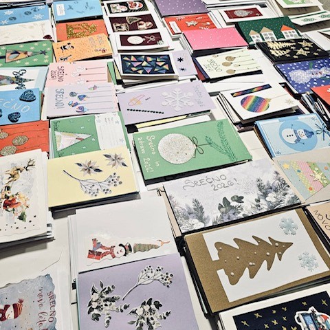 Ana Petrič in BBT.si