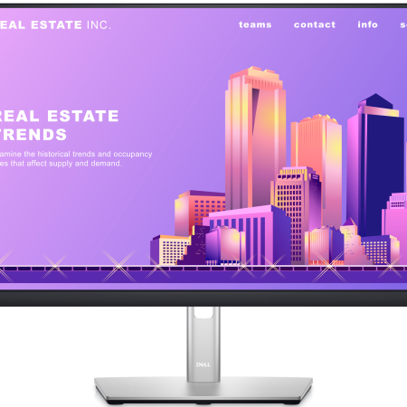 Monitor, 61 cm (24''), DELL Professional P2422H... ugodna cena / kvaliteta A-