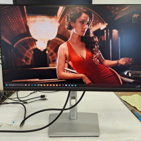 Monitor, 61 cm (24''), DELL Professional P2422H... ugodna cena / kvaliteta A-