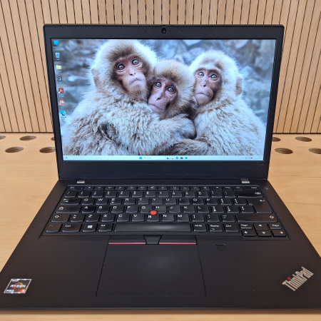 Prenosnik, LENOVO ThinkPad L14 G1... ugodna cena / kvaliteta A-