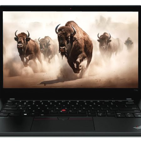 Prenosnik, LENOVO ThinkPad T14s G2